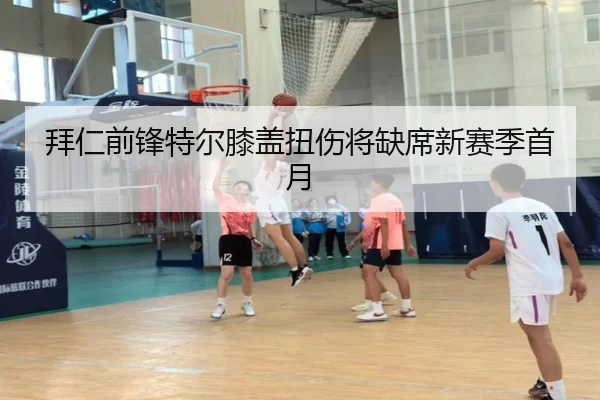 拜仁前锋特尔膝盖扭伤将缺席新赛季首月